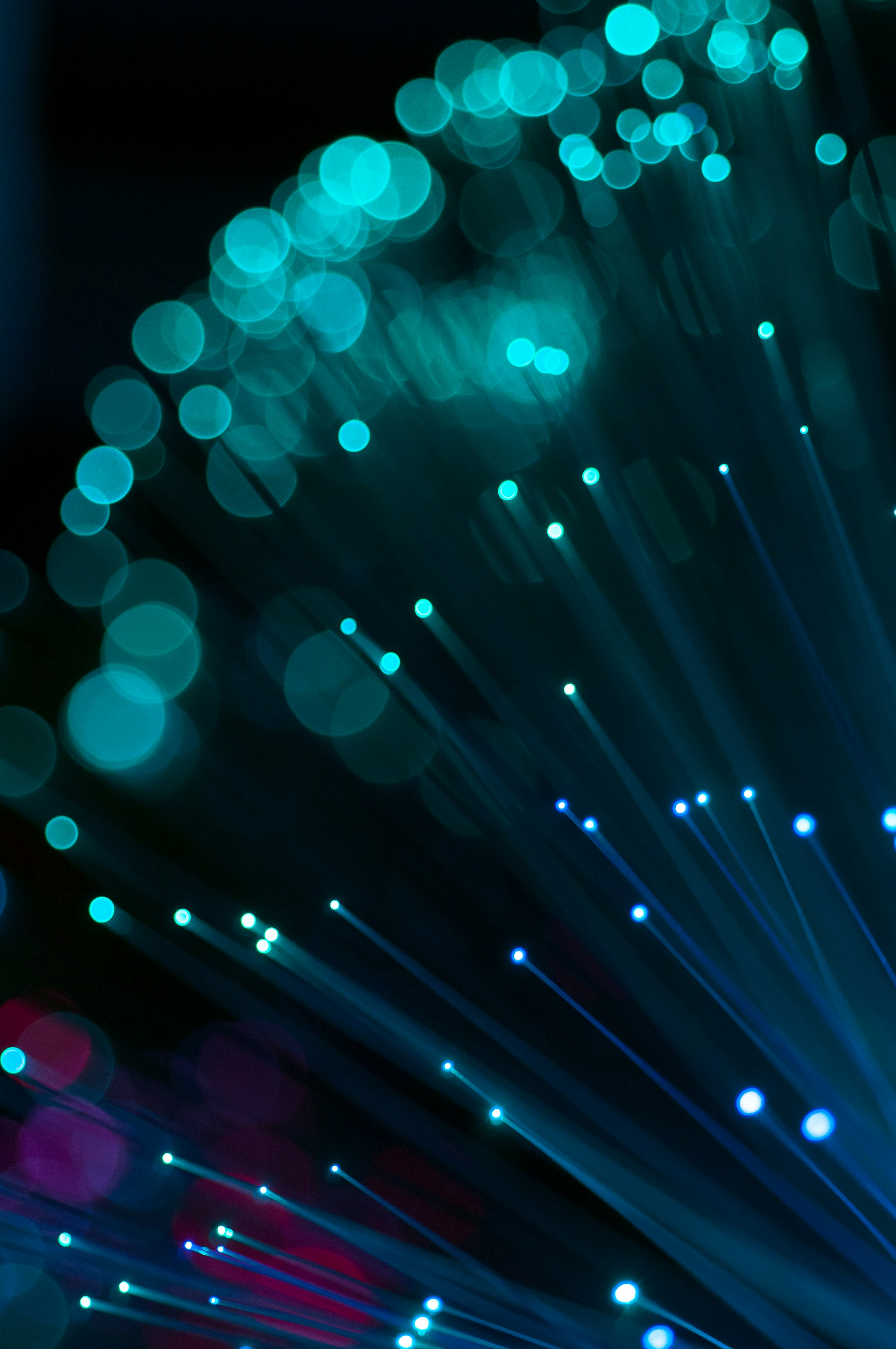 Fiber optic lights